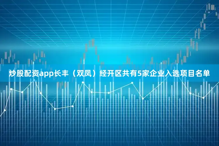 炒股配资app长丰（双凤）经开区共有5家企业入选项目名单